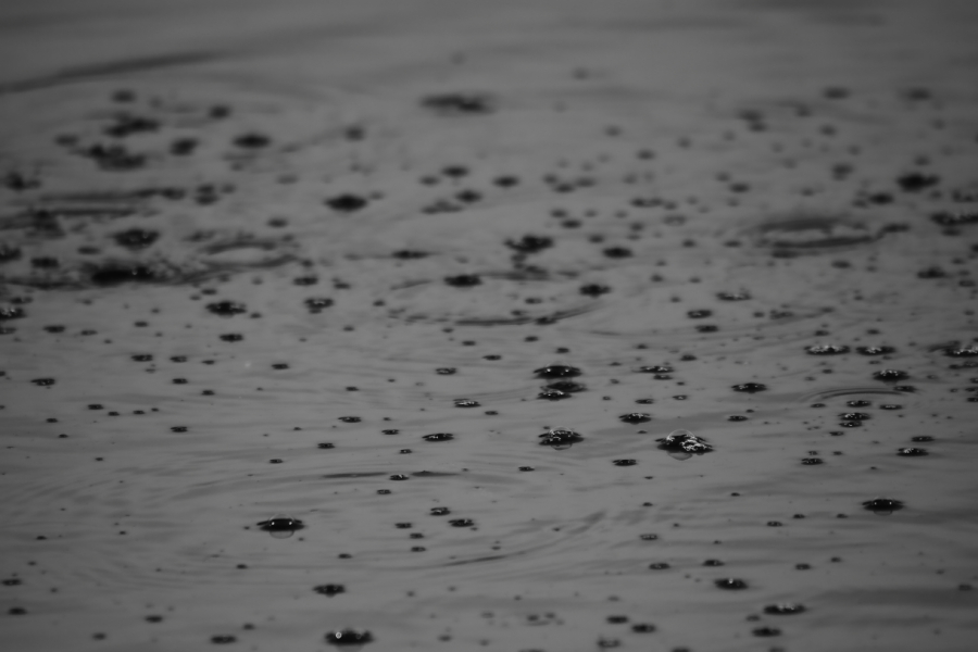 2013 05 31 IMG 08079ebw